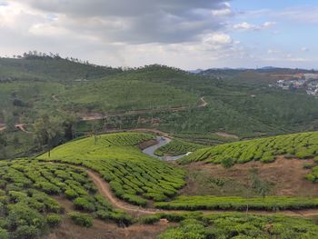 Scenic view of agricultural field against sky