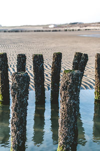 Wooden posts on beach against sky
