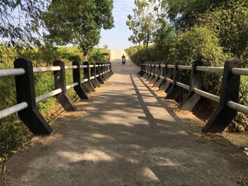 Empty footpath in park