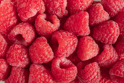 Fresh and sweet raspberries background closeup photo. ftuit background