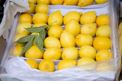 Close-up of fruits