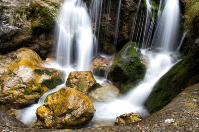 View of waterfall in forest