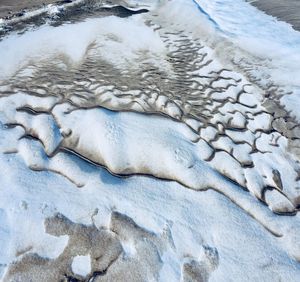 Close-up of dog on beach