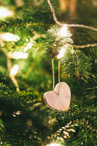 Close-up of heart shape on tree