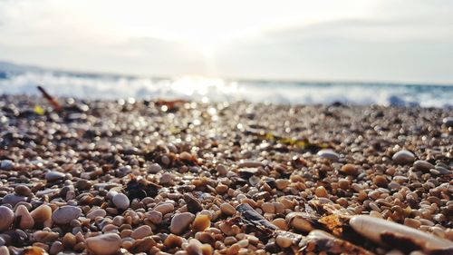 Close-up of pebbles on beach against sky