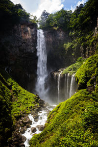 Scenic view of waterfall in forest