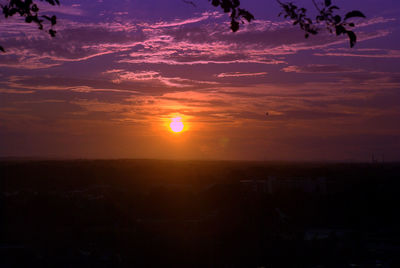 Silhouette of trees at sunset