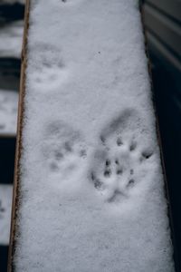 Close-up of snow covered water