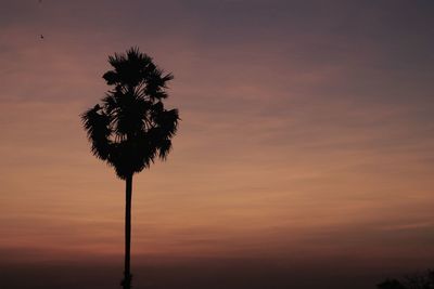 Low angle view of silhouette coconut palm tree against romantic sky