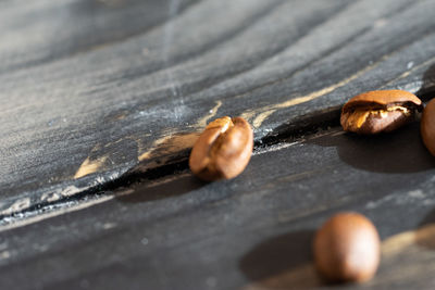 High angle view of snake on table
