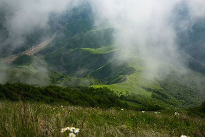 Scenic view of landscape against sky