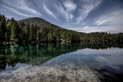 Scenic view of lake by trees against sky