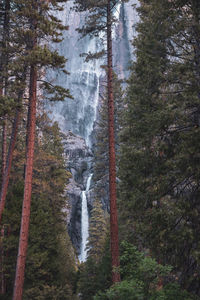 Upper and lower yosemite falls