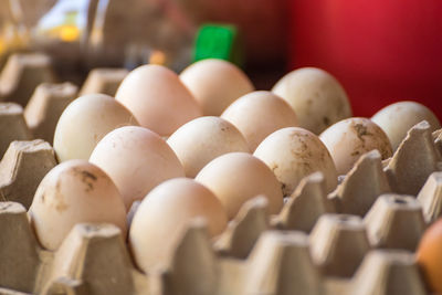 Close-up of eggs in container