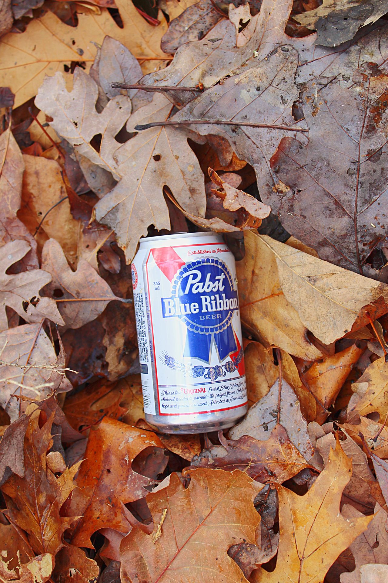 Beer can littering Multicolored