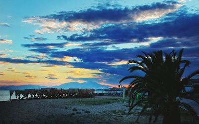 Palm trees on beach against sky during sunset