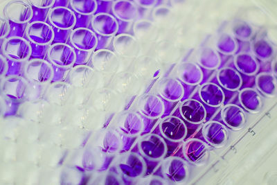 Close-up of purple chemical in test tubes at laboratory