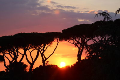 Silhouette trees against dramatic sky during sunset