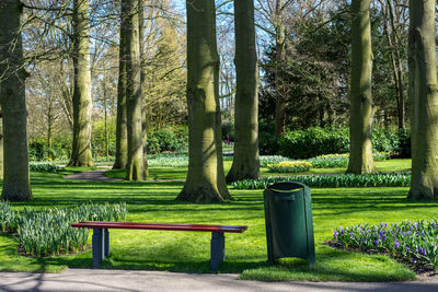 Empty bench in park