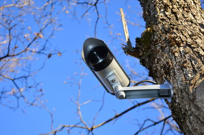 Low angle view of camera on tree
