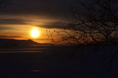 Silhouette bare tree against sky during sunset
