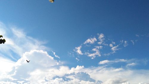 Low angle view of airplane flying in sky