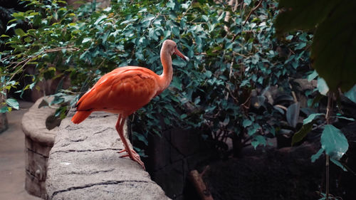 Bird perching on a plant