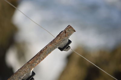 Close-up of rusty metal