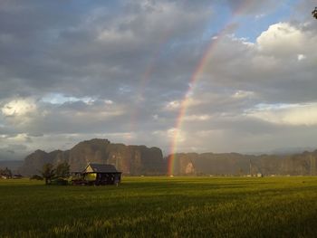 Scenic view of rainbow over land