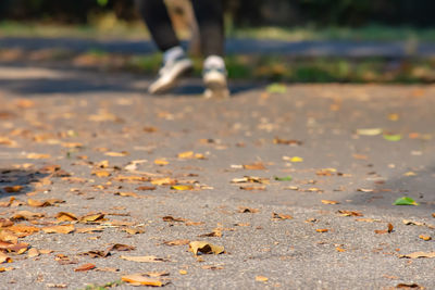 Low section of person running on footpath