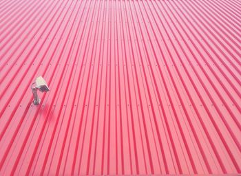 Close-up of insect on wood