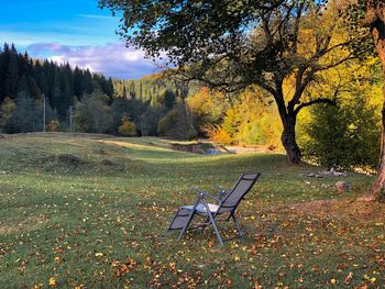 Empty chairs on field against trees during autumn