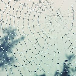 Full frame shot of spider web against sky