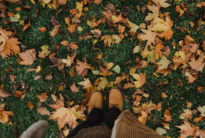 Low section of woman standing on autumn leaves