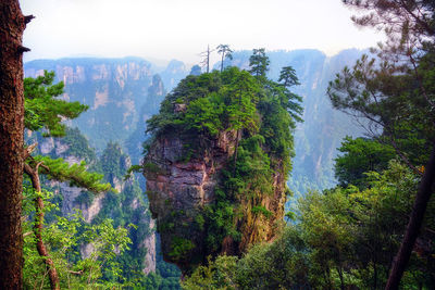 Scenic view of waterfall