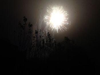 Low angle view of firework display at night