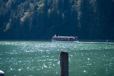 Boat sailing on sea against trees