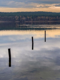 Rear view of man standing on lake