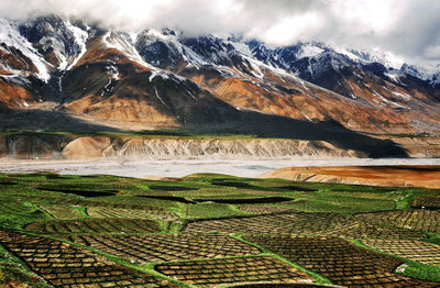 Scenic view of agricultural landscape against sky