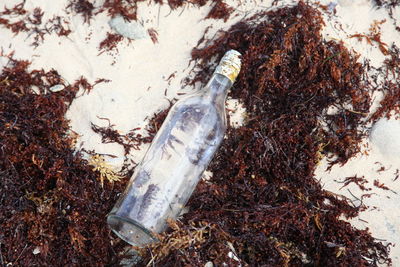 Close-up of dry bottle