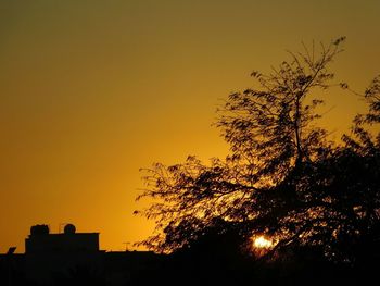 Low angle view of silhouette trees against sky at sunset