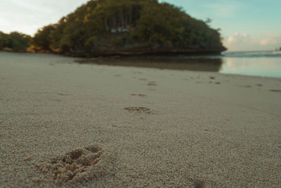 Surface level of beach against sky