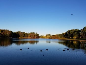 Scenic view of lake against clear blue sky