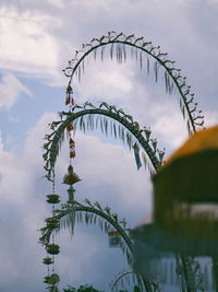 Close-up of tree against sky