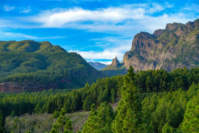 Panoramic shot of trees and mountains against sky