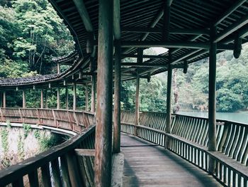 View of bridge against trees
