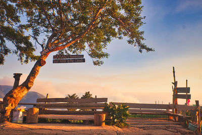 Information sign by tree against sky during sunset