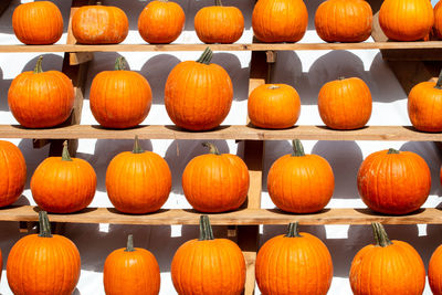 Pumpkins for sale at market stall