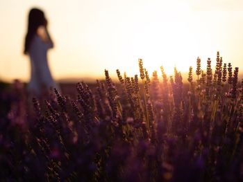 Close-up of flowering plants against woman in background