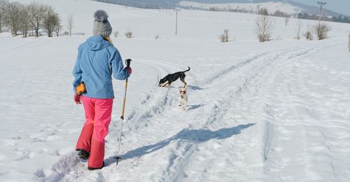 Rear view of person with dog on snow